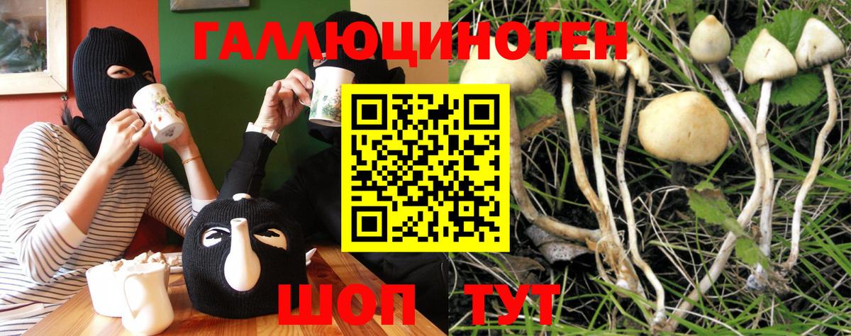 Галлюциногенные грибы GOLDEN TEACHER Брянск