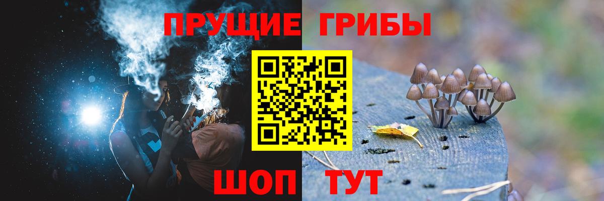 Брянск  Псилоцибиновые грибы мухоморы  Вход с VPN  Псилоцибиновые грибы прущие грибы 